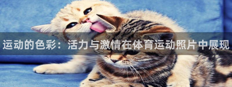 MK体育官网下载软件：运动的色彩：活力与激情在体育运