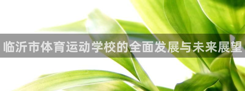 MK体育官网下载是干嘛的公司：临沂市体育运动学校的全