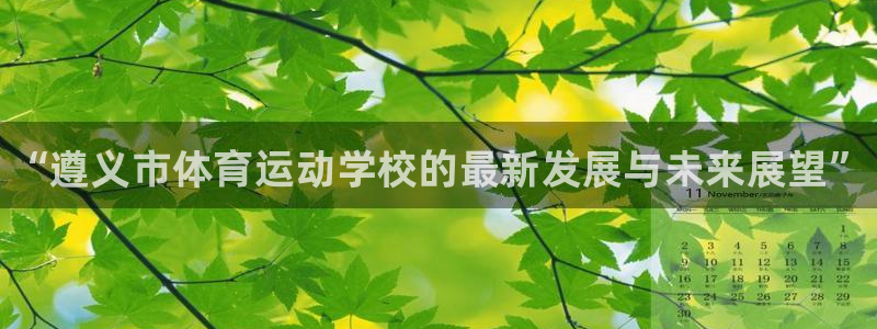 MK体育官方正版app集团logo：“遵义市体育运动
