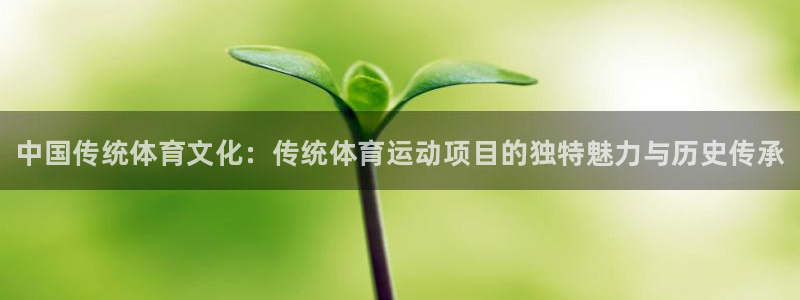 MK体育官方正版app科技：中国传统体育文化：传统体