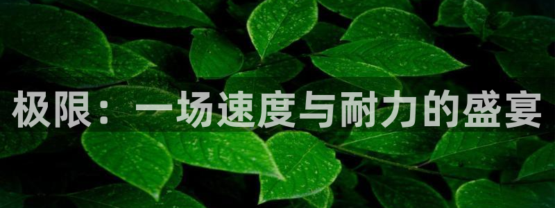 MK体育官方正版app娱乐40996：极限：一场速度