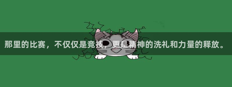 MK体育官网下载平台是正规平台吗安全吗：那里的比赛，