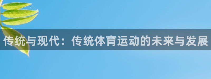 MK体育官方正版app开户：传统与现代：传统体育运动