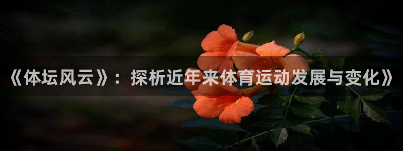 MK体育官方正版app新能源：《体坛风云》：探析近年