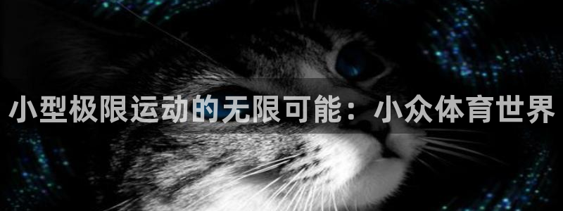 MK体育官方正版app娱乐网站：小型极限运动的无限可