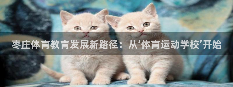 MK体育官方正版app五金厂：枣庄体育教育发展新路径：从‘体