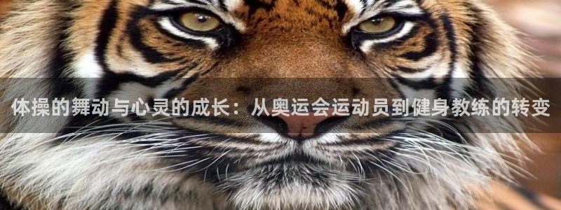 MK体育官网下载平台注册流程视频：体操的舞动与心灵的