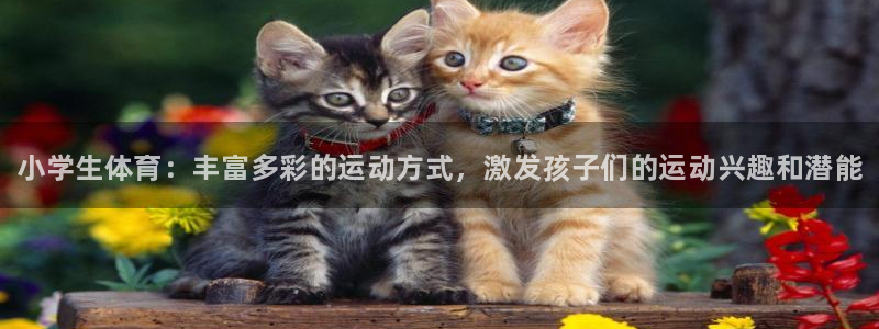 MK体育官方正版app新能源