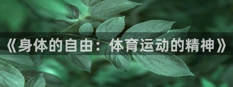 MK体育官网下载平台注册流程图：《身体的自由：体育运