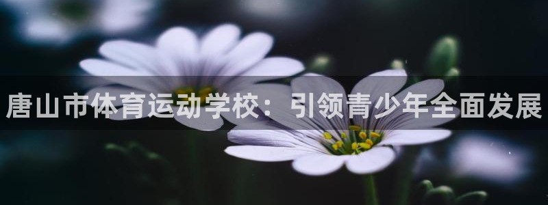 海南MK体育官网下载