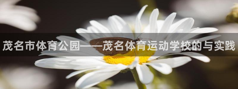 MK体育官方正版app娱乐平台：茂名市体育公园——茂