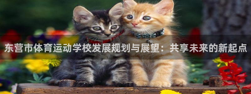 MK体育官方正版app官网：东营市体育运动学校发展规