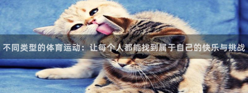 MK体育官方正版app娱乐40996：不同类型的体育运动：让