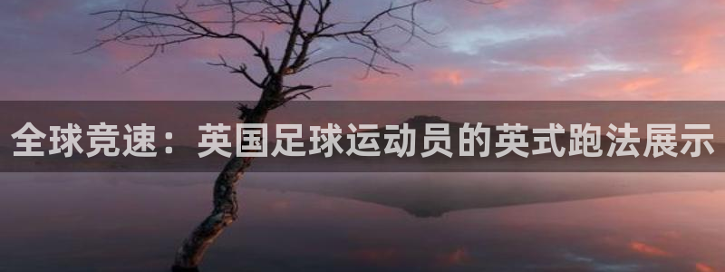 MK体育官网下载平台注册流程视频：全球竞速：英国足球运动员的