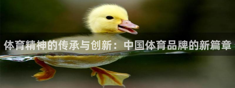MK体育官网下载招商电话号码是多少啊