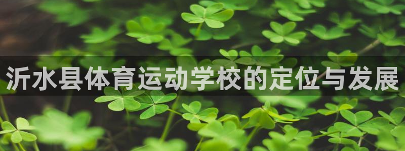MK体育官网下载平台：沂水县体育运动学校的定位与发展