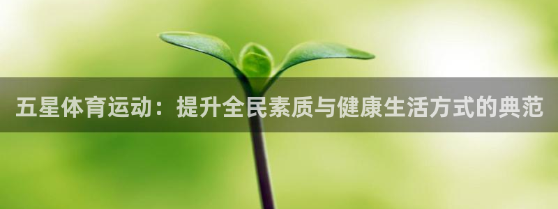 mk体育平台入口手机版安装：五星体育