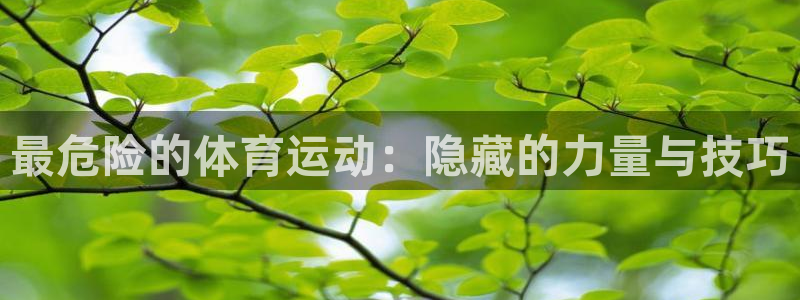 mk体育全站app下载：最危险的体育